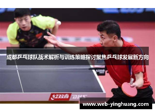 成都乒乓球队战术解析与训练策略探讨聚焦乒乓球发展新方向